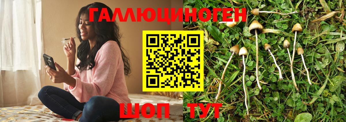 Псилоцибиновые грибы ЛСД  Вход с VPN  Бор  Псилоцибиновые грибы Psilocybine cubensis 
