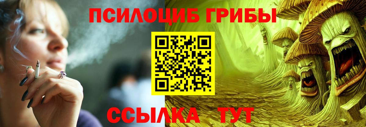 Псилоцибиновые грибы Psilocybe Бор